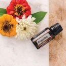 수지로6L 이미지