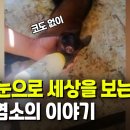 정균농장 이미지