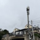 빛이랑 펜션 | 가평 독채펜션 [초록빛하루] _ 아이랑 가기 좋은 풀빌라 펜션 내돈내산 후기