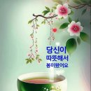 회장댁 Daum카페
