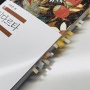 고전순례 : 헤르만 헤세 다시 읽기 | [고전소설/세계문학전집] 싯다르타 _ 헤르만 헤세 : 깨달음의 여정