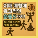 건강태극권(실용) | 치매 예방에 효과적인 운동 5가지! 뇌 건강 지키는 일상 습관까지