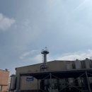 대농농장 | 고창 4월 벚꽃축제 상하농원 매일우유 견학 등등