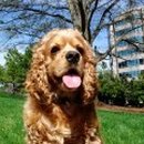 튼튼동물병원 이미지