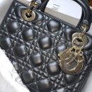 레이디올 이미지