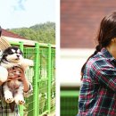 대형견프리미엄아울렛 이미지