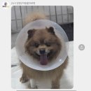 24시 창원2차동물의료원 이미지