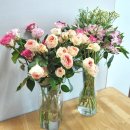 화랑농장 이미지