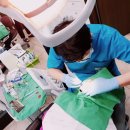 푸른치과 네이버블로그