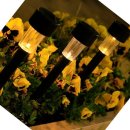 쇼핑나라 이미지