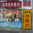 단지내코끼리공인중개사사무소 이미지