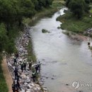 나성동_다정교 이미지