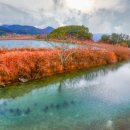 대교  마을회관 이미지