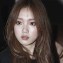 헤어본 네이버블로그