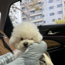 동이몽이 이미지