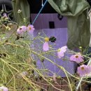 둥근돌 캠핑장 이미지