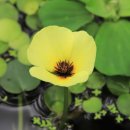 인동쉼터 이미지