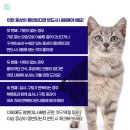 꾸륵