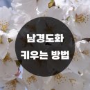 남경