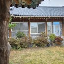 개나리꽃민박 이미지