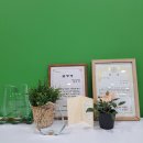 새푸른약국 이미지