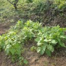 당곡농장 이미지