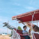 경산공룡박물관 이미지