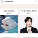 🌴내가 코코넛이 된 거 같은게 너무 충격적이라서 홧김에 적는 뮤배 덕질기 🥥