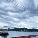 지베콘도 이미지