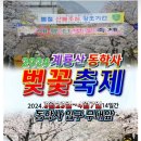 광양 매화축제&동학사 벚꽃축제 공지 이미지