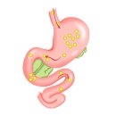 브니엘요양병원 | [양평/양평군 요양병원/브니엘 노인전문병원] [소화기계 질환] 덤핑증후군