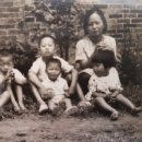 노안면복지회관 이미지