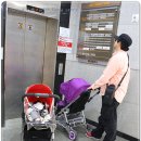 파파앤팜