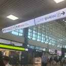 춘추중국어 | ✈️ 청주공항 - 상하이 (푸동공항) 직항 탑승 후기 / 춘추항공 후기 + 수하물 규정 총정리
