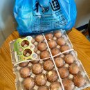 전일약국 | 마운자로 2.5mg 1주차 후기 1펜 식욕 부작용 체중 감량 변화 증상 총정리 닥터나우 앱 최저가 비교 구매...