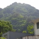 미천골산울림펜션