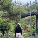 [촌캉스] 남양주 그랜마하우스 솔직후기