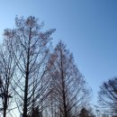 140119 원주종합운동장 주변의 한겨울 풍경 이미지