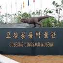 창선 가인리화석산지 이미지