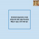 초보자취생 딜레마 - 햇반 vs 전기밥솥 이미지