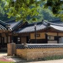 경북 영주여행! 영주 가볼만한 곳! 무섬마을!외나무다리!