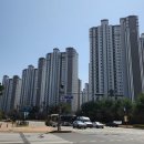 UR(파주시)-[한울로]-하-3 | 교하에서 운정1동까지 3.6km 두 발로 걸으며대장 vs 가성비 아파트 다 봤다