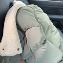 한국고양이혈액센터 | [고양이헌혈] 한국고양이 혈액센터 후기/ 고양이 헌혈 하러가기