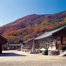 초원염소농장 이미지