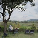 2865 | 고양 강매 창릉천 뷰맛집 카페2865