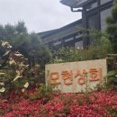 용인 숨은 맛집 발견! 캠핑 느낌 그대로 고기 구워 먹는 모현 상회 후기