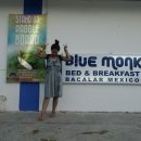 블루몽키(BLUE MONKEY) 이미지