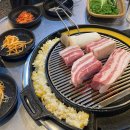 해수노래바