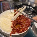 고추장 미꾸리 한사발 | 일산 식사동 술집 곱도리탕 육회 안주 맛있는 한사발포차 후기