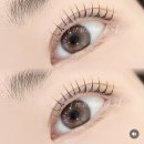 세번티 | 선릉 속눈썹, 세 번 방문 후 달라진 길이 비교 후기